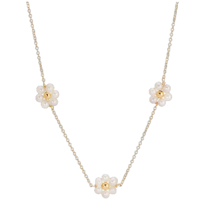 Collar Virginia